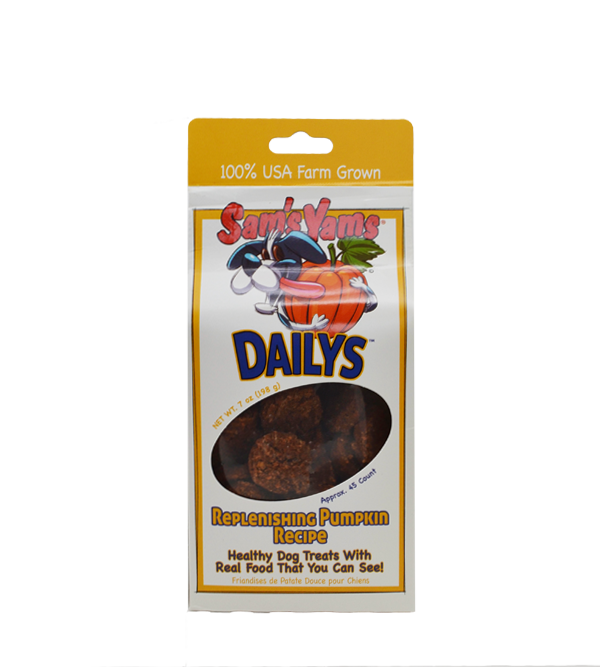 Pumpkin Dog Treat
